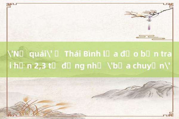 'Nữ quái' ở Thái Bình lừa đảo bạn trai hơn 2，3 tỉ đồng nhờ 'bịa chuyện'