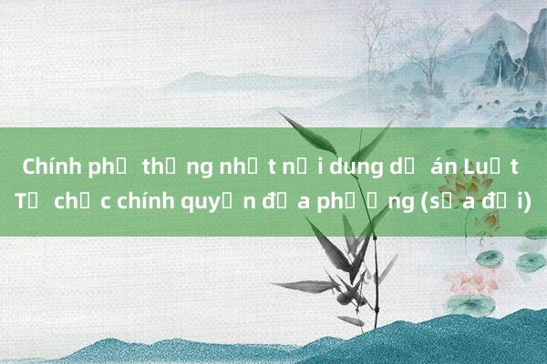 Chính phủ thống nhất nội dung dự án Luật Tổ chức chính quyền địa phương (sửa đổi)