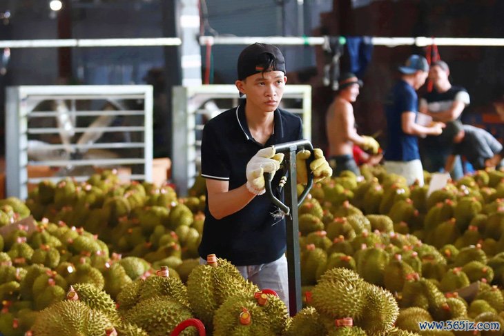 Bộ Nông nghiệp trả lời về kiến nghị lập hệ thống cảnh báo sớm về giá cả và tiêu thụ nông sản - Ảnh 1.